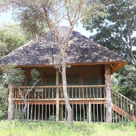 Honeyguide Ranger Camp Hotel Golders Green Eksteriør billede