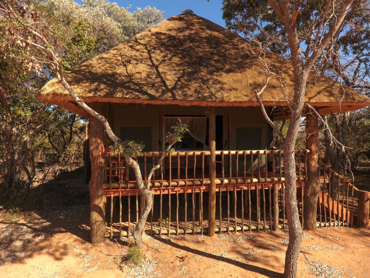 Honeyguide Ranger Camp Hotel Golders Green Eksteriør billede