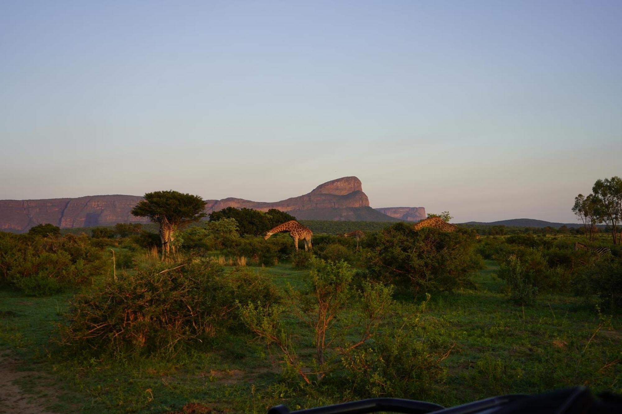 Honeyguide Ranger Camp Hotel Golders Green Eksteriør billede
