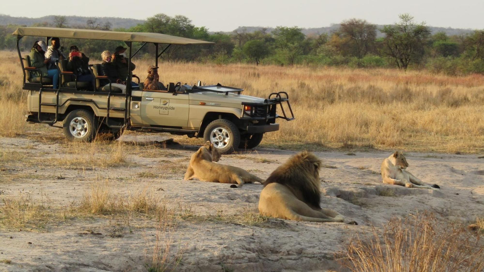 Honeyguide Ranger Camp Hotel Golders Green Eksteriør billede