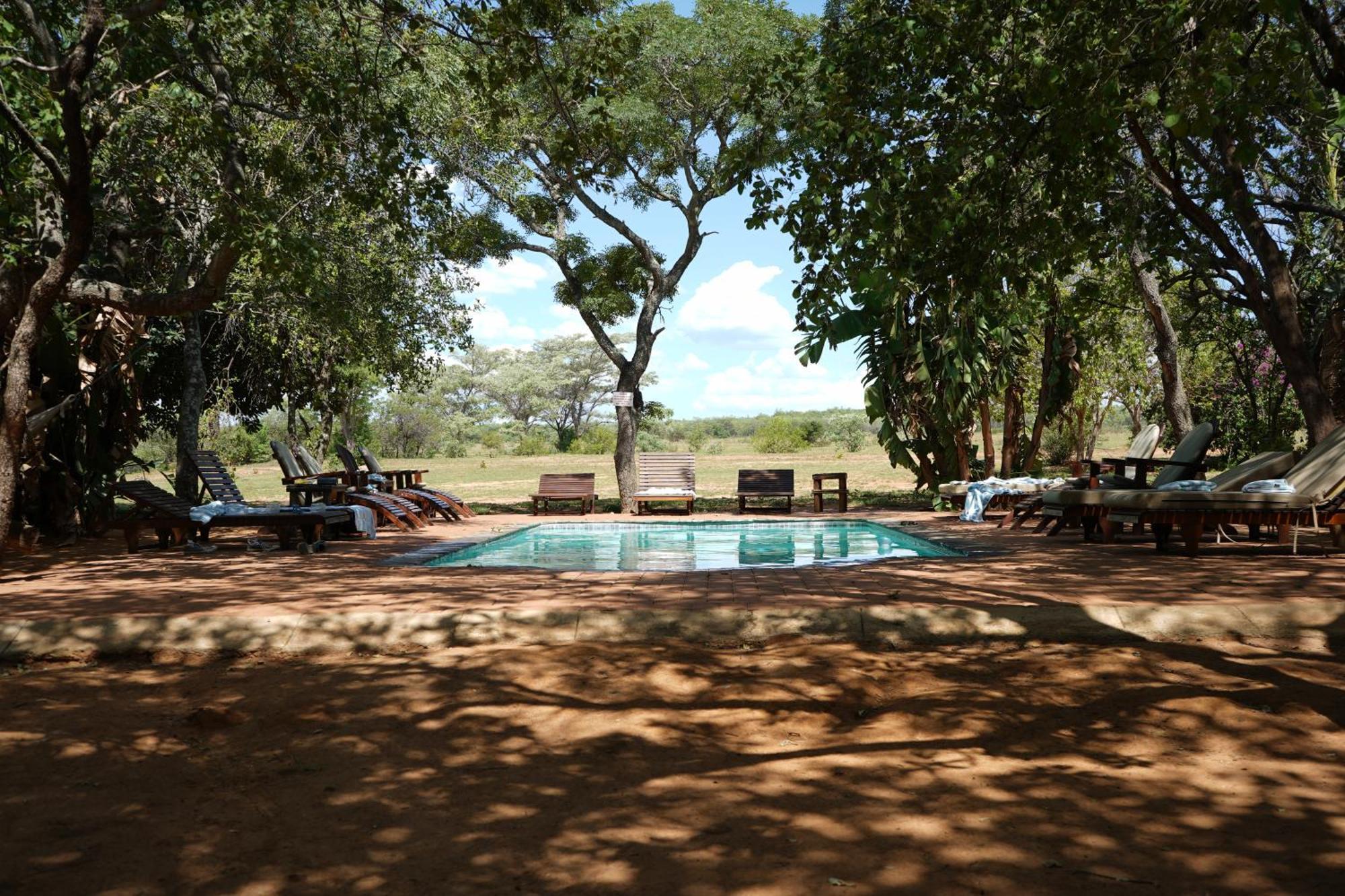 Honeyguide Ranger Camp Hotel Golders Green Eksteriør billede