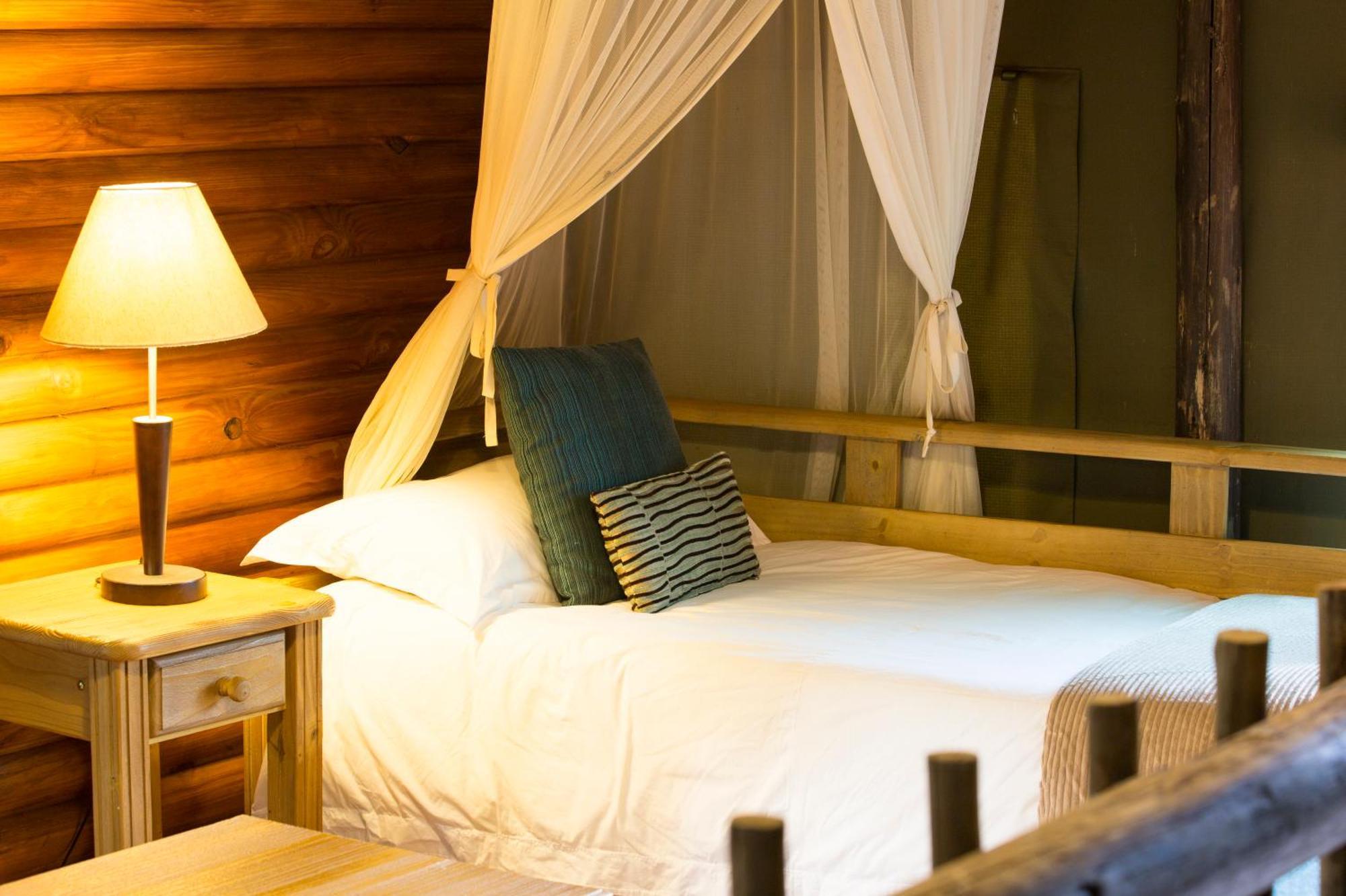 Honeyguide Ranger Camp Hotel Golders Green Værelse billede
