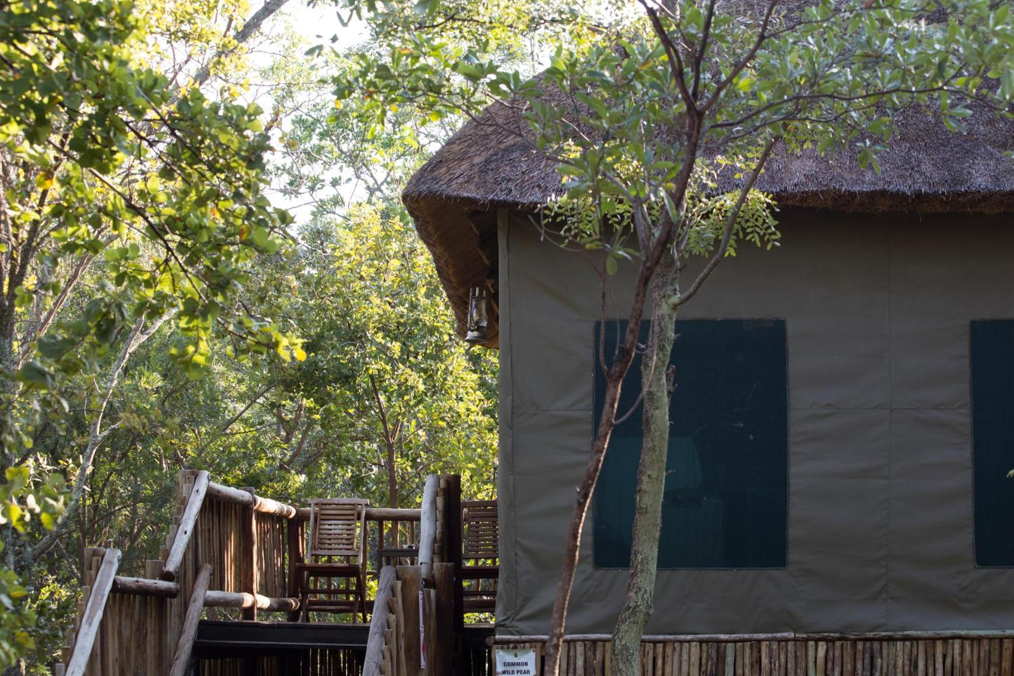 Honeyguide Ranger Camp Hotel Golders Green Værelse billede