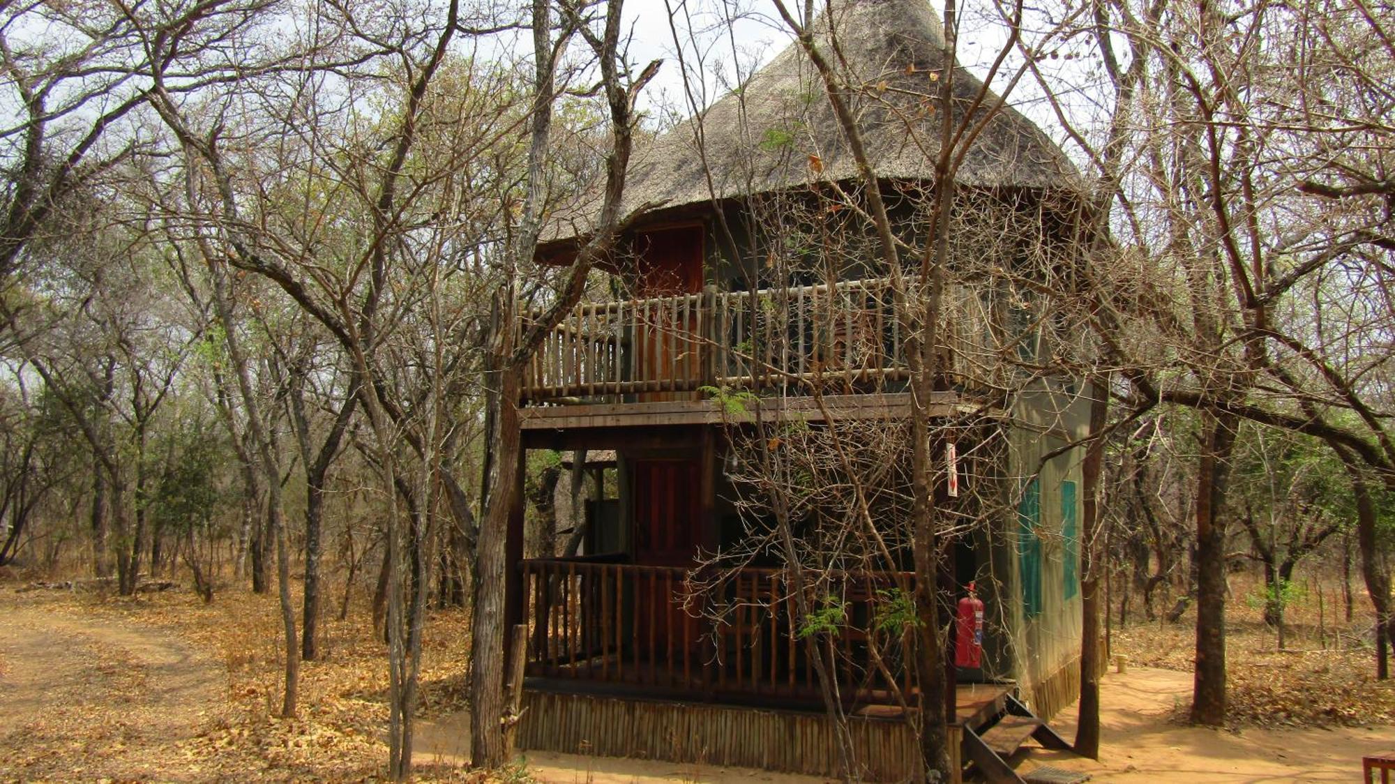 Honeyguide Ranger Camp Hotel Golders Green Værelse billede