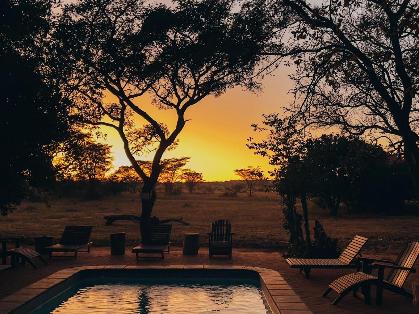 Honeyguide Ranger Camp Hotel Golders Green Eksteriør billede