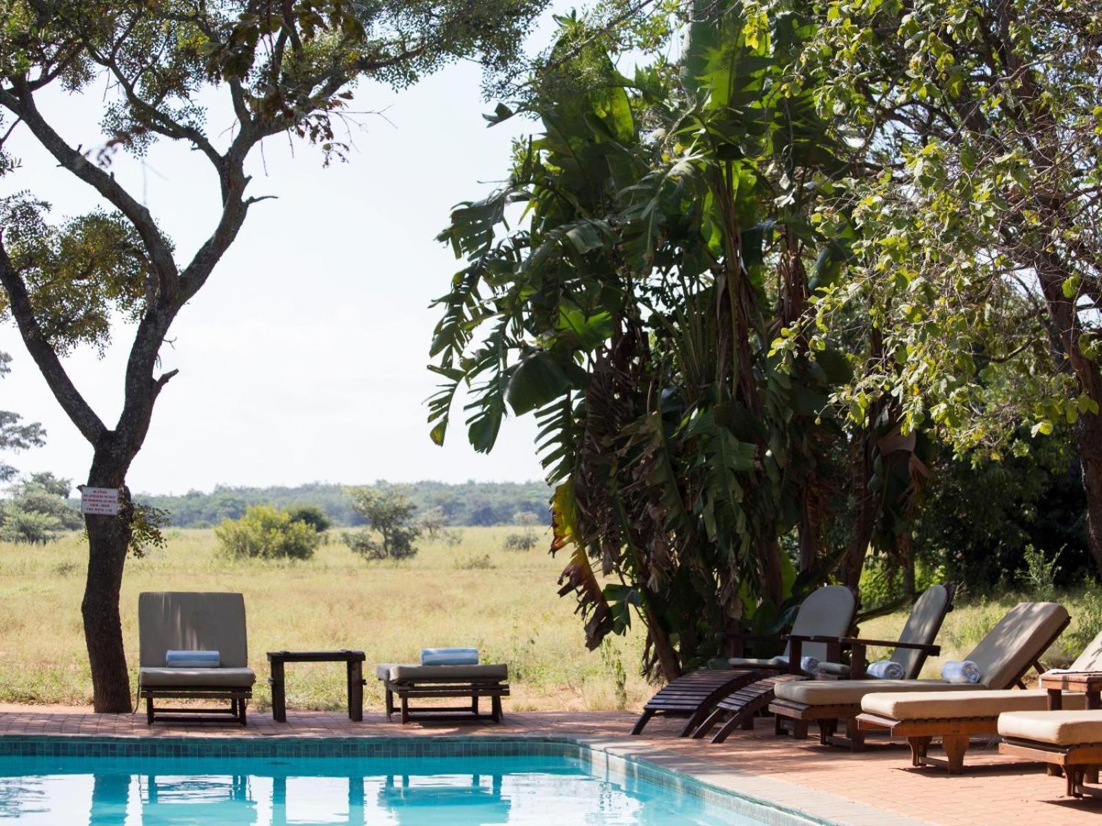Honeyguide Ranger Camp Hotel Golders Green Eksteriør billede
